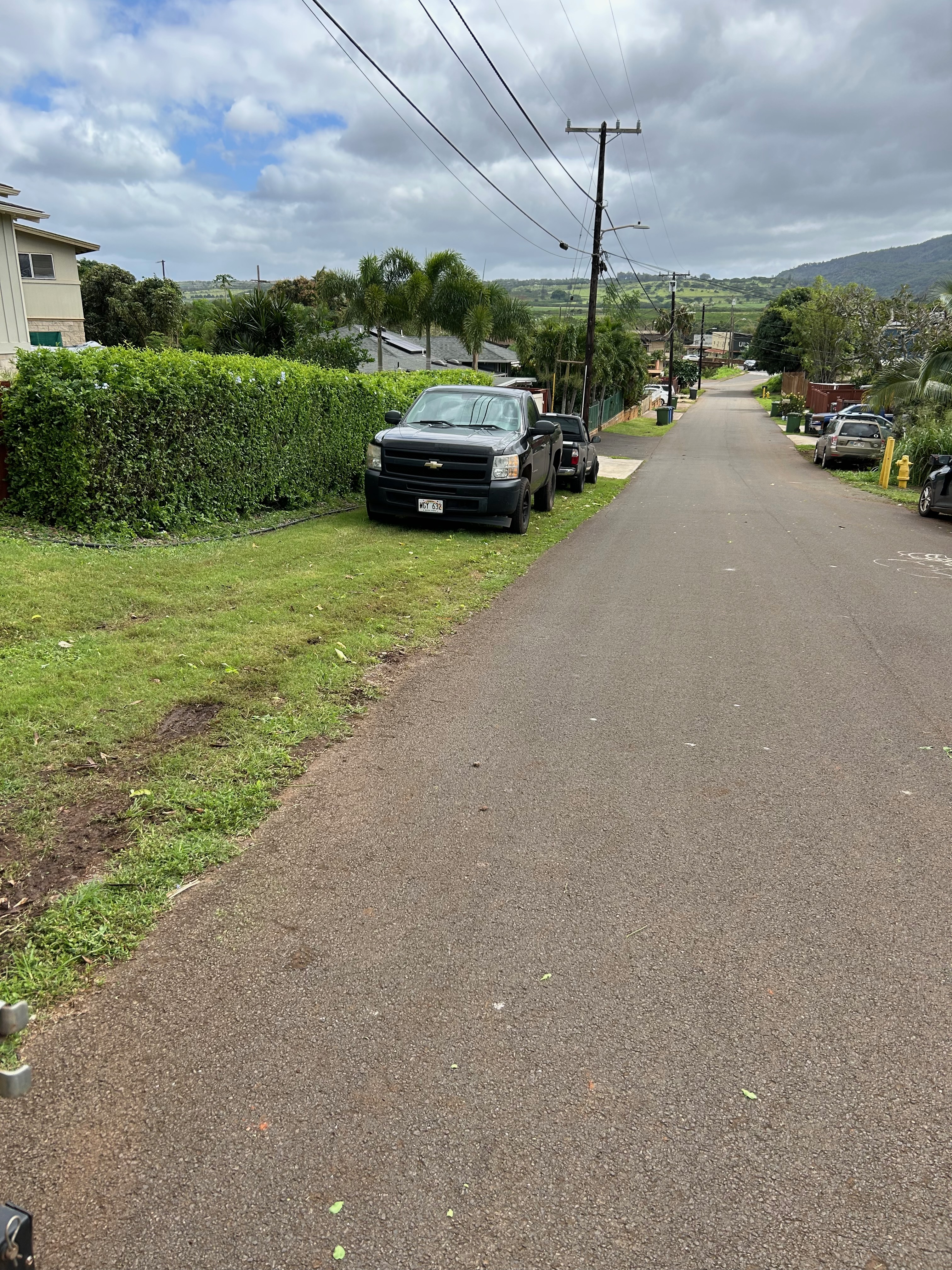 Estate Mowing