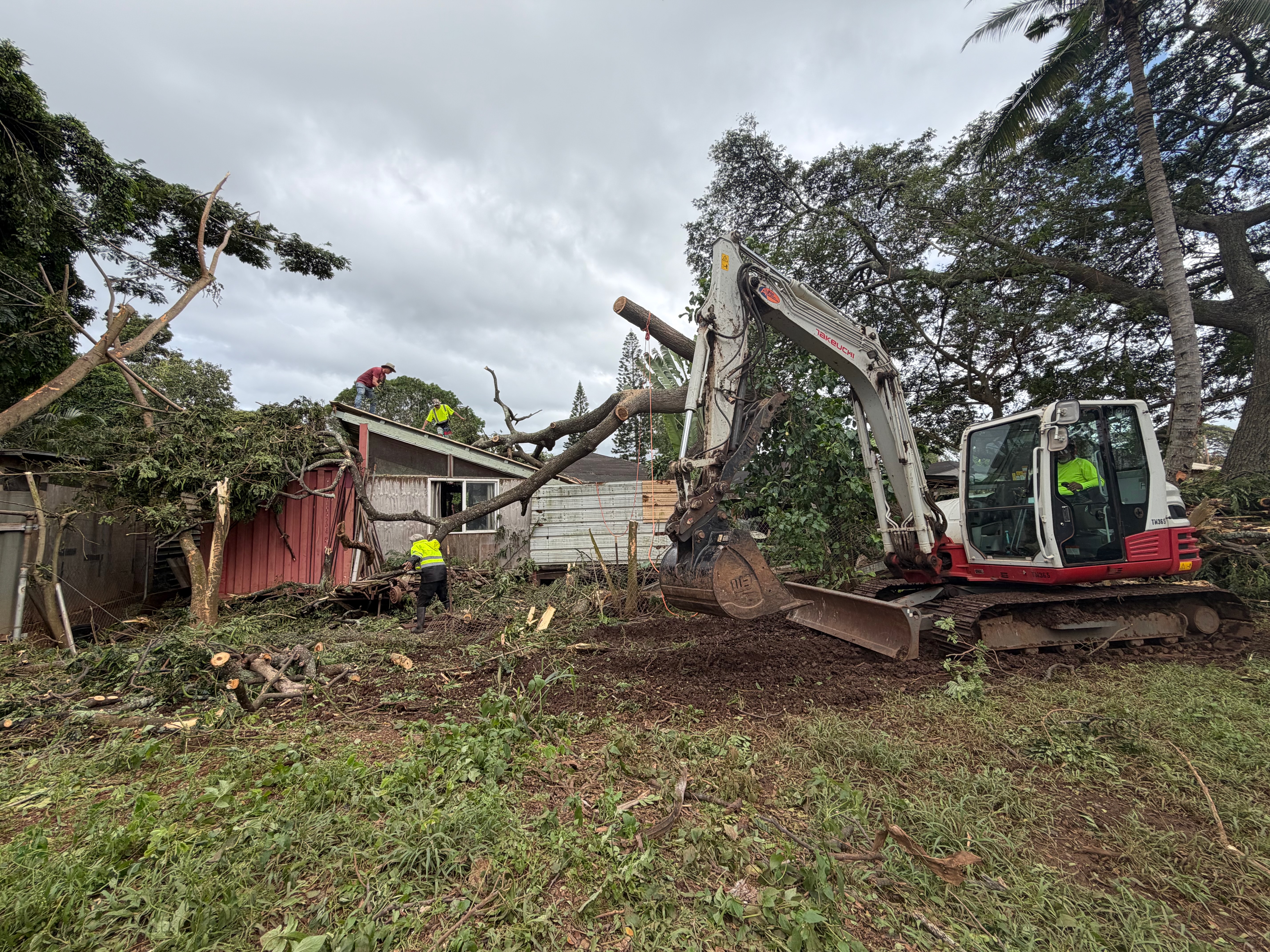 Site Restoration