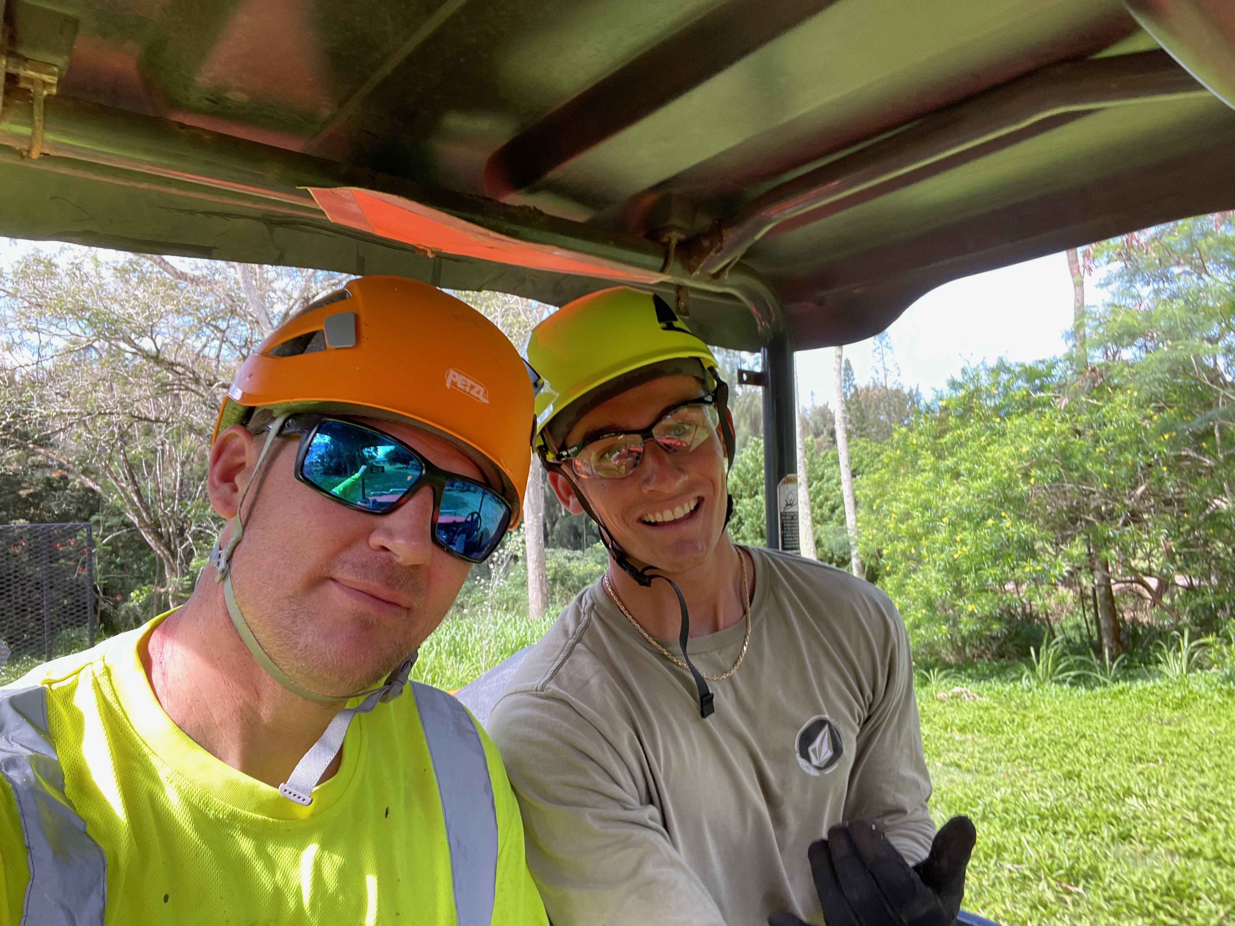 Tree Removal Action