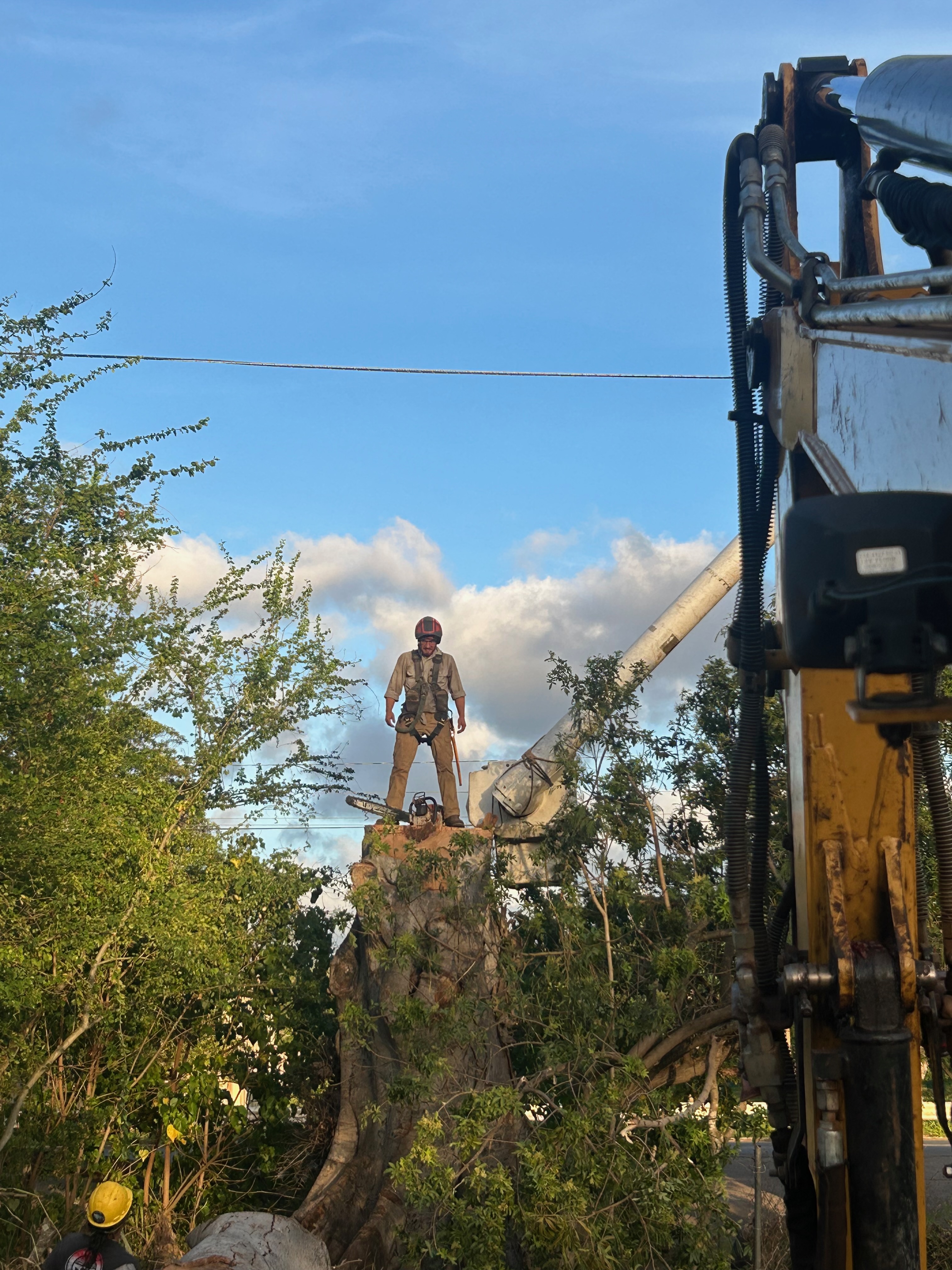Debris Management